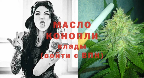 ECSTASY Богданович